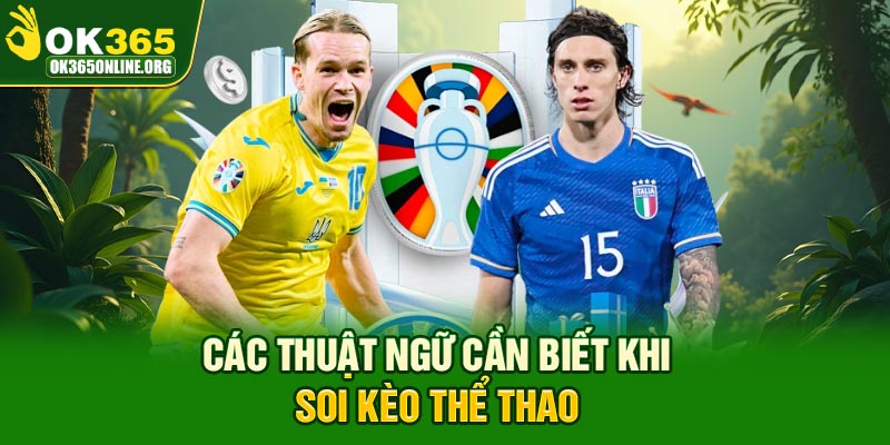 Các thuật ngữ cần biết khi soi kèo thể thao