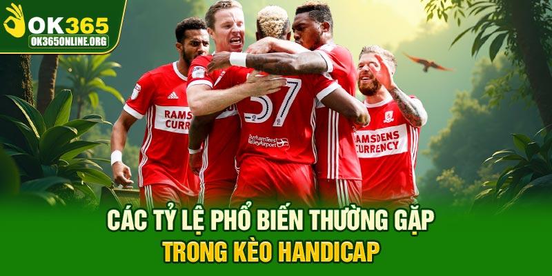 Các tỷ lệ phổ biến thường gặp trong kèo Handicap