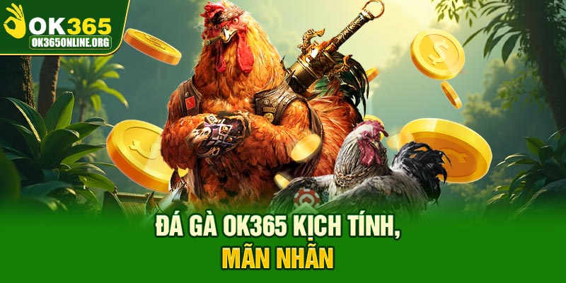 Đá gà OK365 kịch tính, mãn nhãn