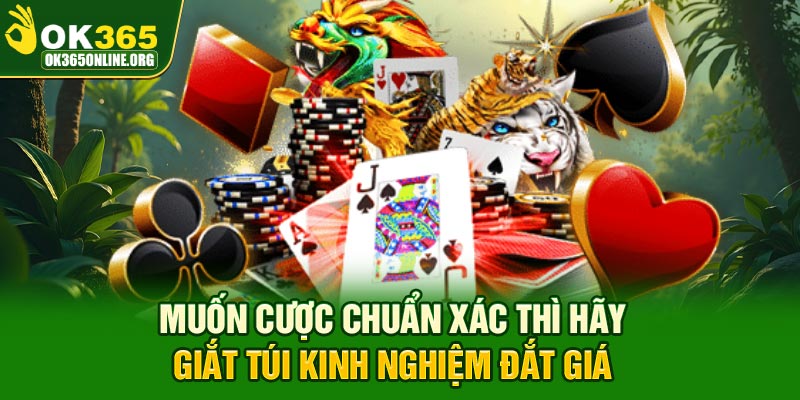 Muốn cược chuẩn xác thì hãy giắt túi kinh nghiệm đắt giá