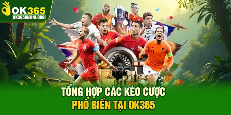 Tổng hợp các kèo cược phổ biến tại OK365