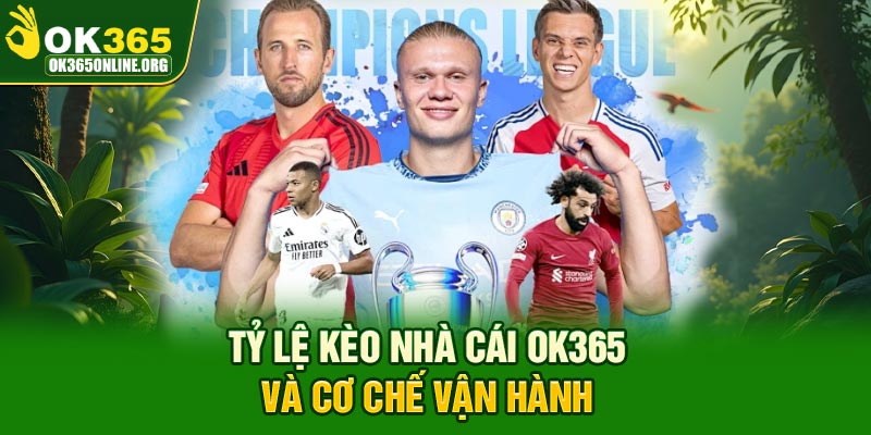 Tỷ lệ kèo nhà cái OK365 và cơ chế vận hành